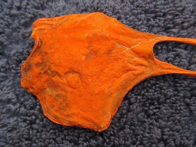 Benefits of Billi Ki Jer: Traditional Beliefs and Spiritual Significance