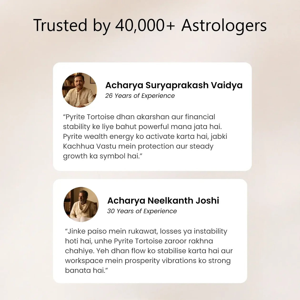 Shaktipeeth Vastu Pyrite Tortoise (Kachhua) - Prosperity & Protection