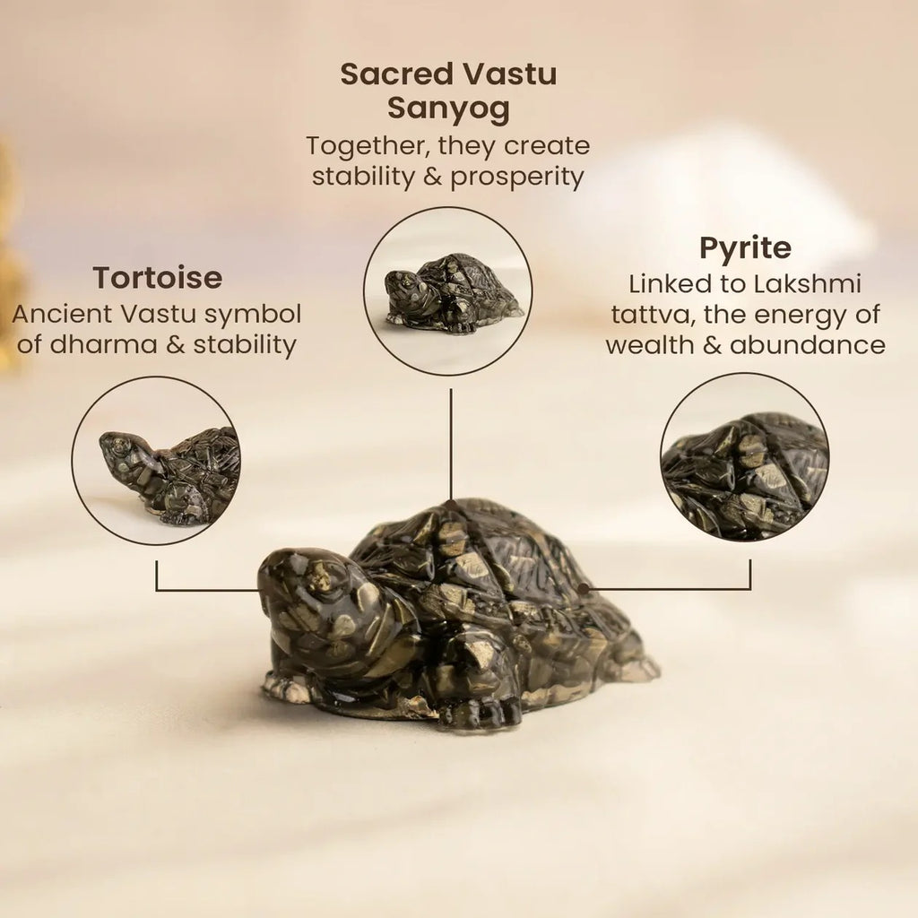 Shaktipeeth Vastu Pyrite Tortoise (Kachhua) - Prosperity & Protection