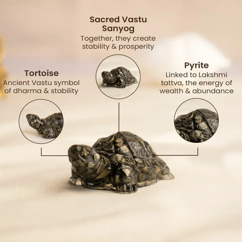 Shaktipeeth Vastu Pyrite Tortoise (Kachhua) - Prosperity & Protection