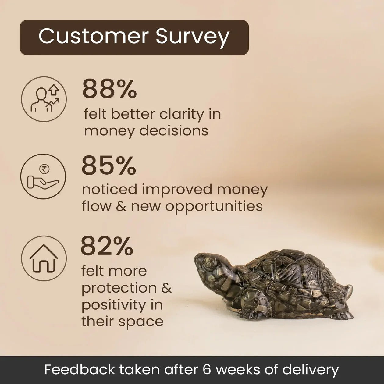 Shaktipeeth Vastu Pyrite Tortoise (Kachhua) - Prosperity & Protection