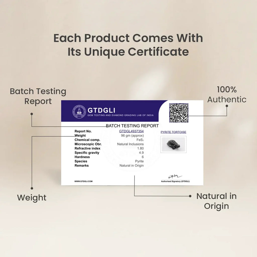 Shaktipeeth Vastu Pyrite Tortoise (Kachhua) - Prosperity & Protection