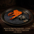 Shaktipeeth Wealth Protection Kit – 2 Tail Billi Ki Jer & Pyrite Torto