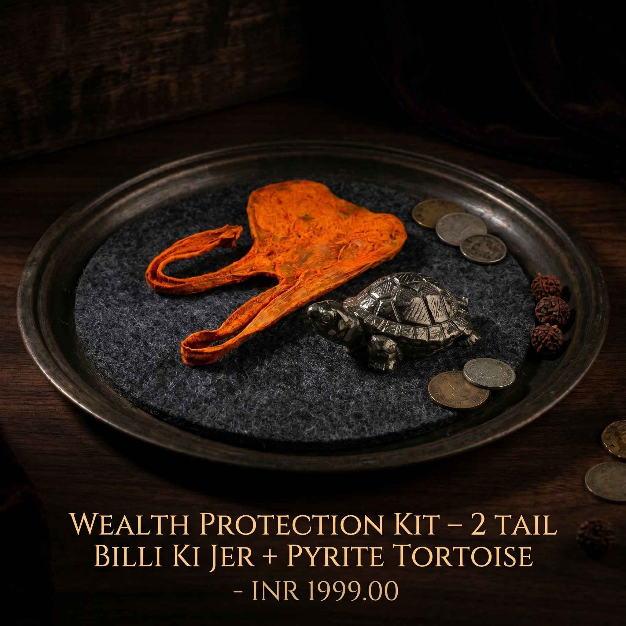 Shaktipeeth Wealth Protection Kit – 2 Tail Billi Ki Jer & Pyrite Torto