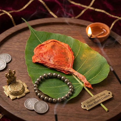 Shaktipeeth Dhan Shakti Combo: Cat Jer Talisman & Pyrite Bracelet