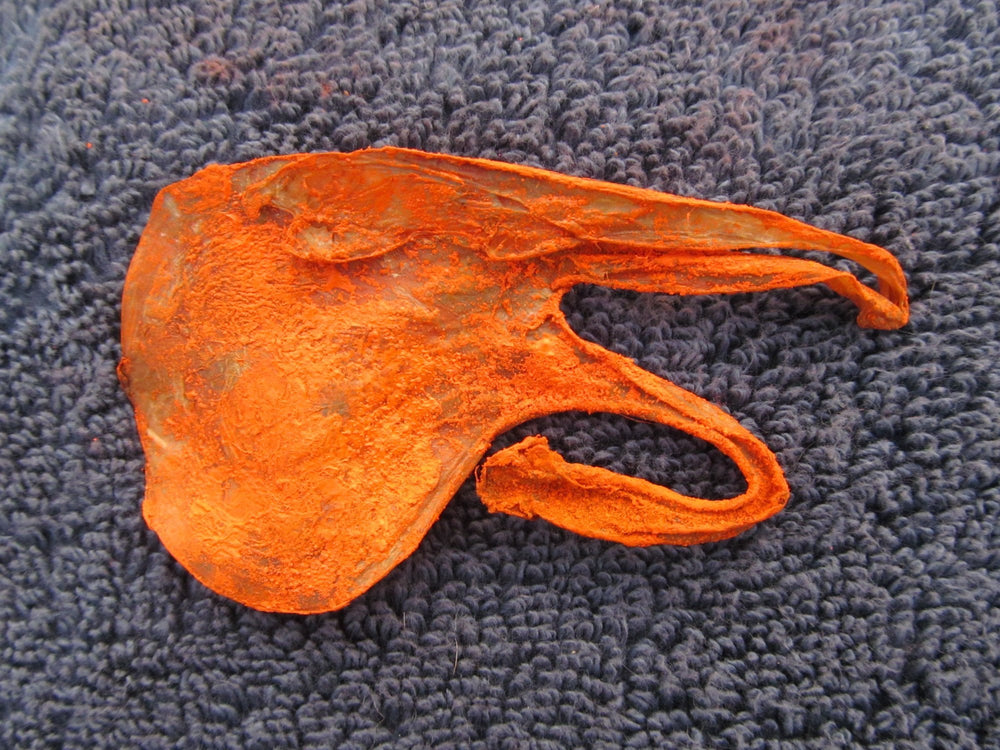 2 tail Billi Ki Jer | rearest billi jer